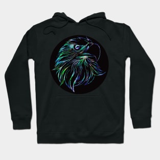 Falconry Hoodie